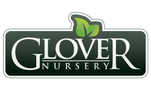 LogoTransparent