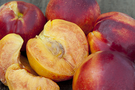 Nectarine 'Nectazee' - Glover Nursery