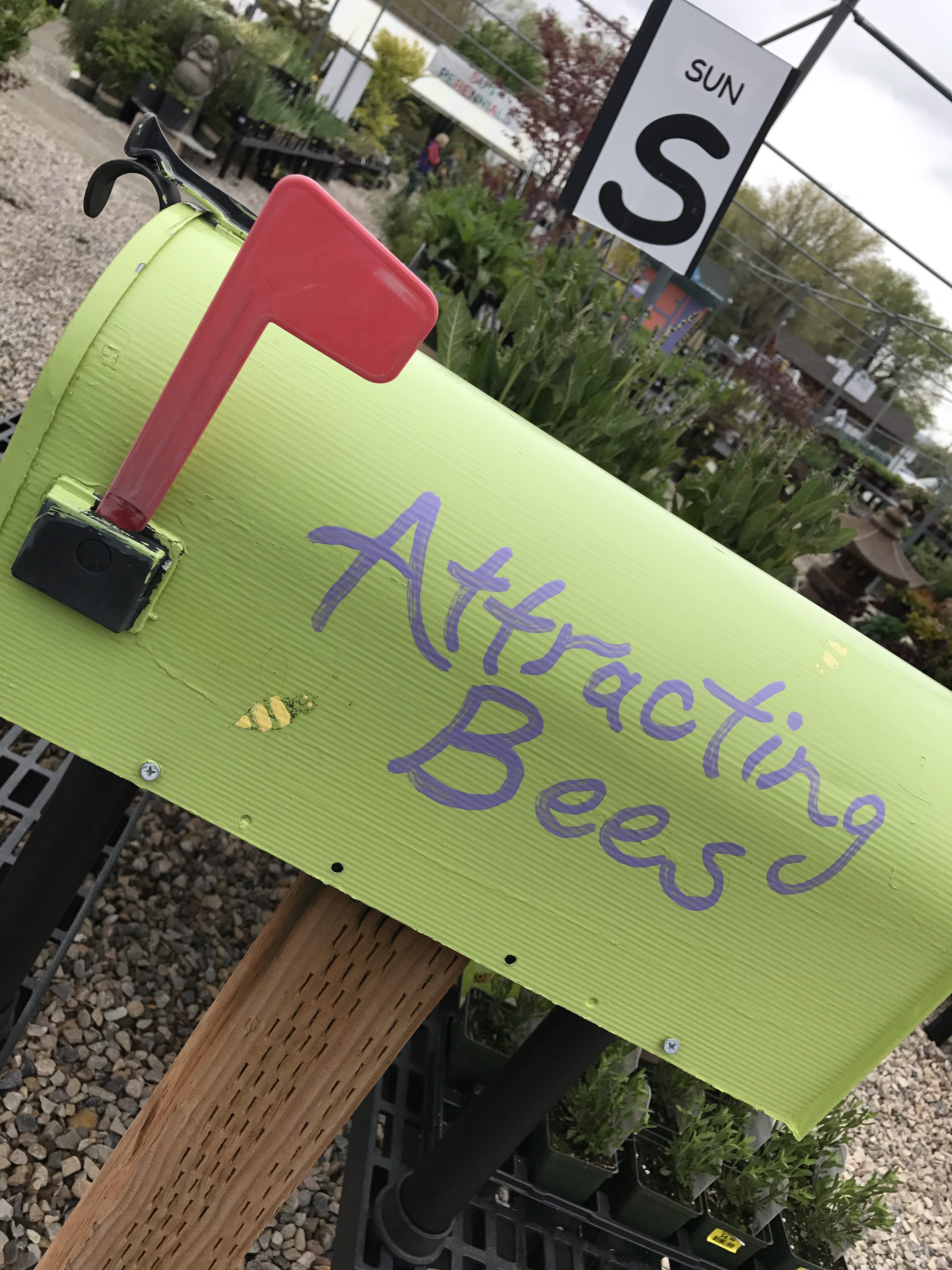 Attracting Native Bees - Glover Nursery