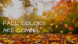 Fall Colors are Coming to Utah