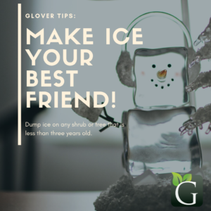 use ice to water in winter