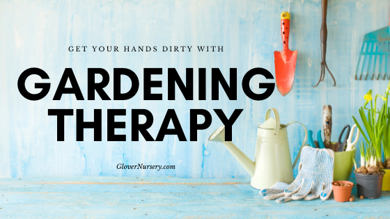 The Therapeutic Benefits Of Gardening Glover Nursery The Therapeutic Benefits Of Gardening Glover Nursery