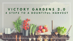 victory-gardens-2.0-4-Steps-to-a-bountiful-harvest