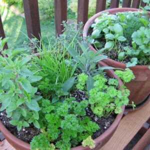 patio-herb-garden