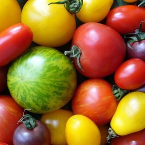 Glover Nursery Tomatoes