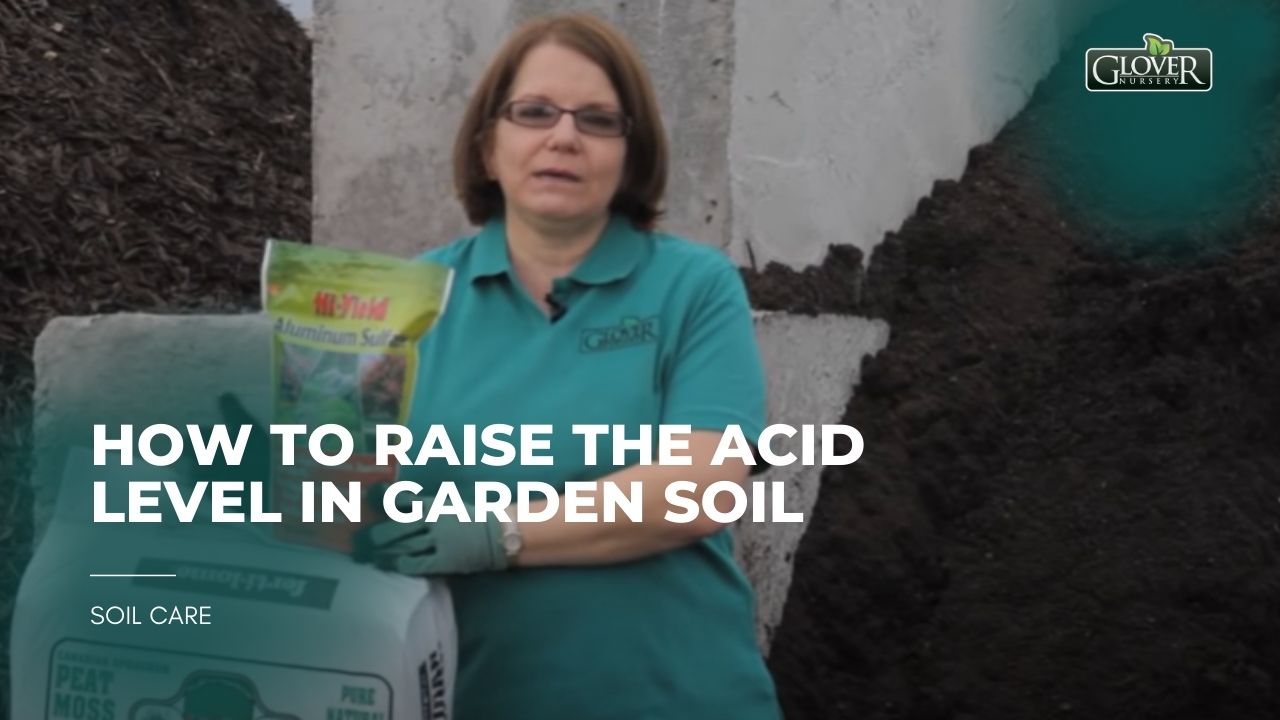 Increasing Soil Acidity: Tips for Adjusting pH in Your Garden