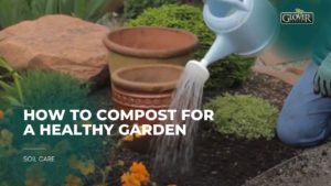 How to Compost for a Healthy Garden