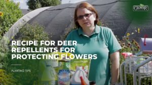 Recipe for Deer Repellents for Protecting Flowers