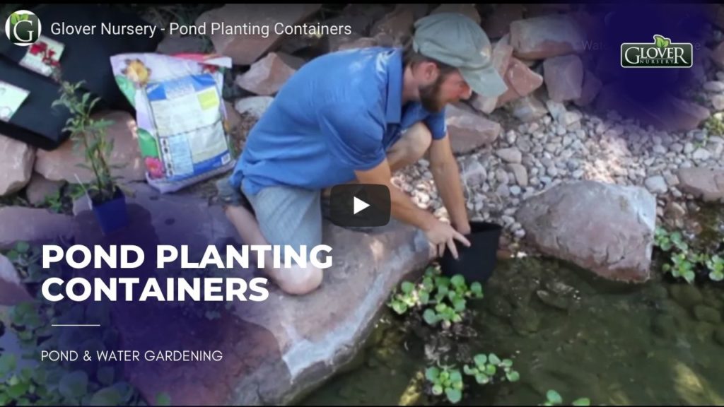 Pond Planting Containers