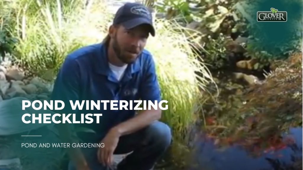 Pond Winterizing Checklist