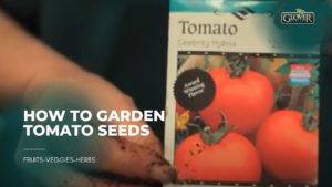 How to Garden Tomato Seeds