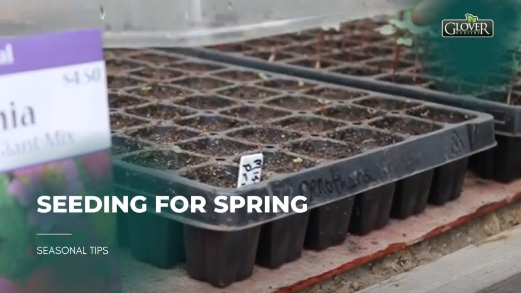 Seeding for Spring