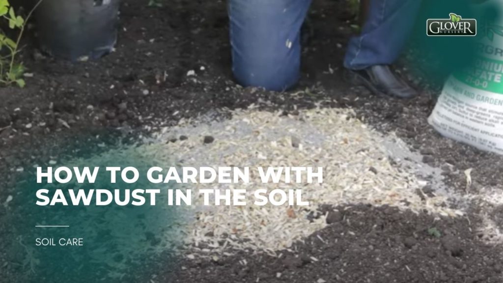 How to Garden With Sawdust in the Soil
