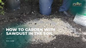 How to Garden With Sawdust in the Soil