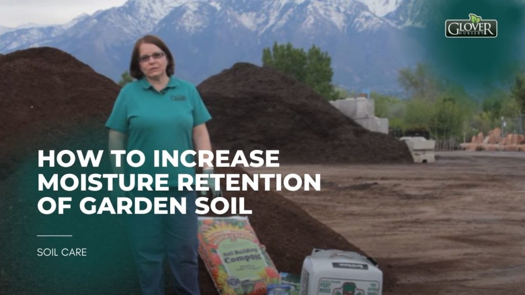 How to Increase Moisture Retention of Garden Soil