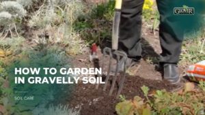 How to Garden in Gravelly Soil