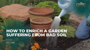 How to Enrich a Garden Suffering from Bad Soil