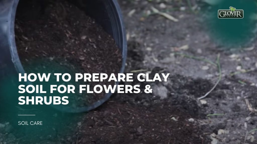 How to Prepare Clay Soil for Flowers & Shrubs