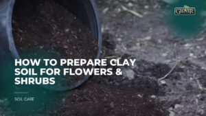 How to Prepare Clay Soil for Flowers & Shrubs