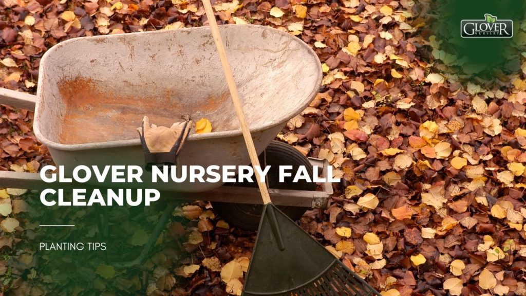 Glover Nursery Fall Cleanup