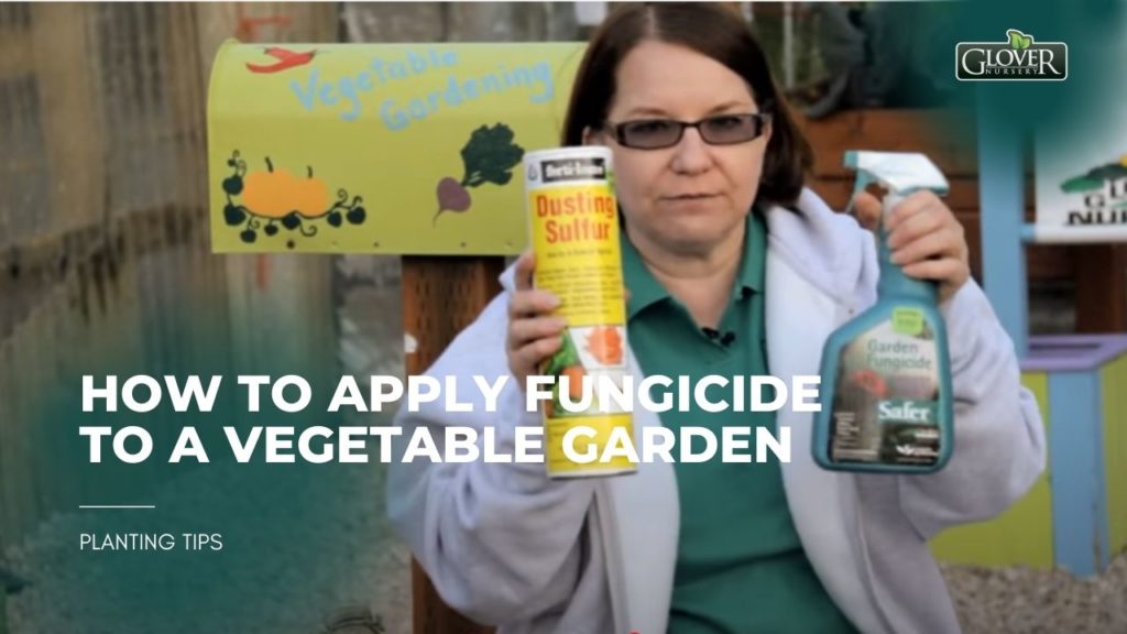 How to Apply Fungicide to a Vegetable Garden