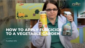 How to Apply Fungicide to a Vegetable Garden