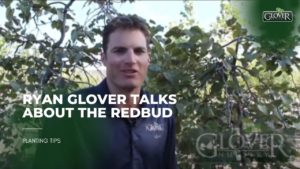 Ryan Glover Talks About the Redbud