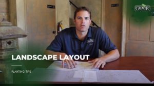 Landscape Layout