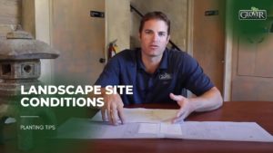 Landscape Site Conditions
