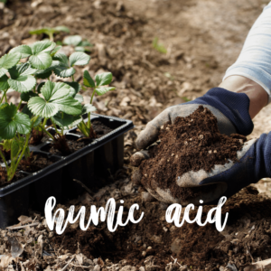 Humic Acid for Vegetable Container Gardening