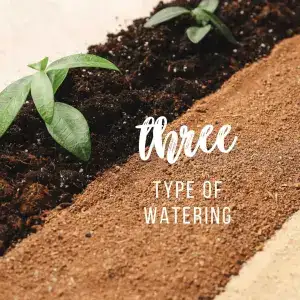 Type Of Watering