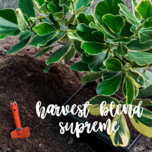 Harvest Blend Supreme for Vegetable Container Gardening