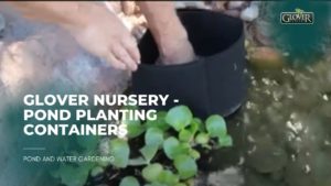 Glover Nursery - Pond Planting Containers