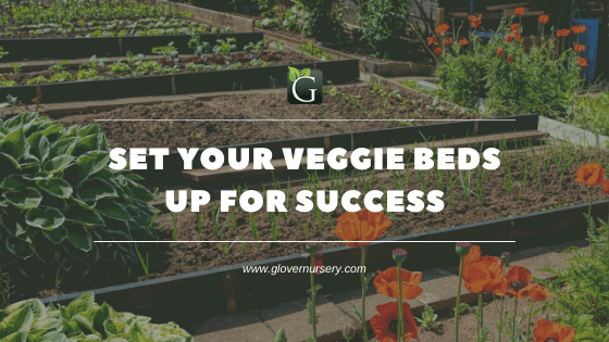 Set Your Veggie Beds Up for your Garden