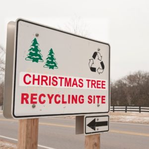 Recycle Real Christmas 