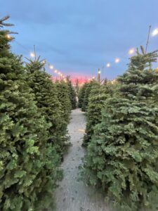 Christmas Tree Land Conservation