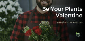 How to Be Your Plants' Valentine