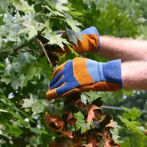 Remove Dead Leaves/Branches
