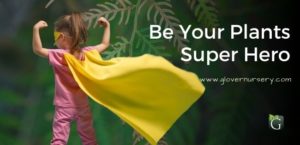 Be Your Plants SuperHero