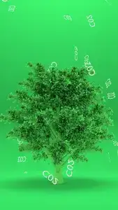 CO2 (Carbon Dioxide)