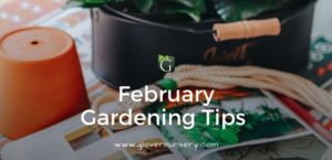 Gardening Tips Banner