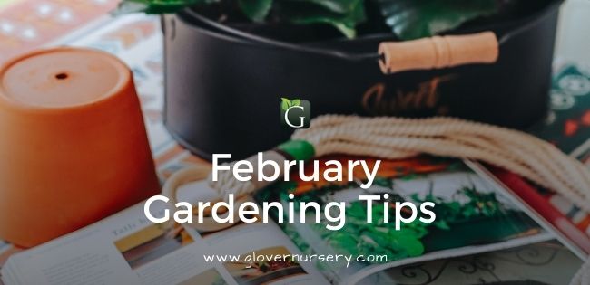 Gardening Tips Banner