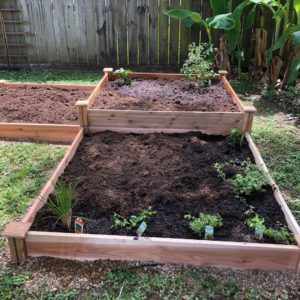 What Is A Raised Garden Bed
