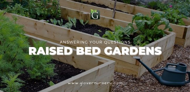 Raised Bed Gardens