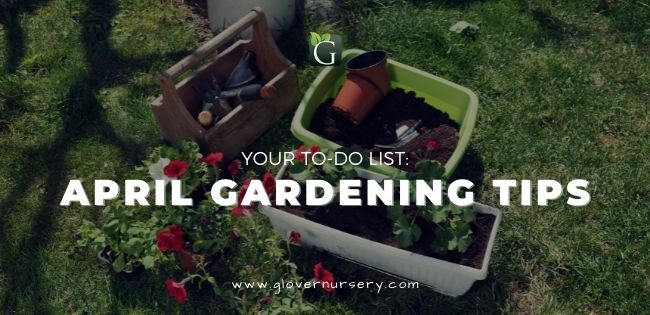 april gardening tips