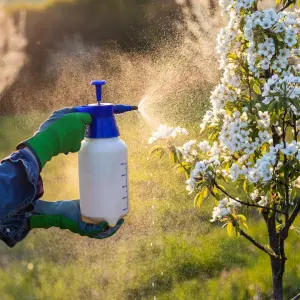 Pesticide Safety