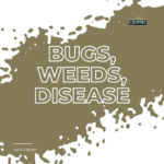 GN-Bugs-Weeds-Disease