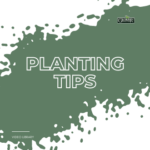 GN-Planting-Tips