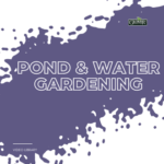 GN-Pond-and-Water-Gardening