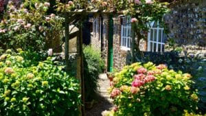 backyard-garden